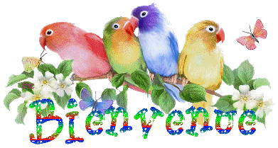 Bienvenue sur Maths Cuicui, l'envol�e math�matique!